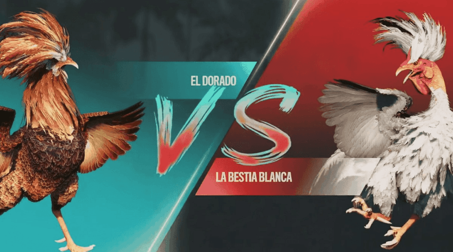 y995 Plataforma para Slots